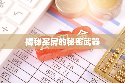 吉水揭秘买房的秘密武器