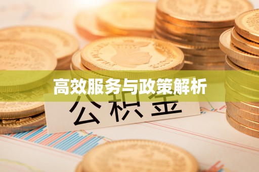 吉水高效服务与政策解析