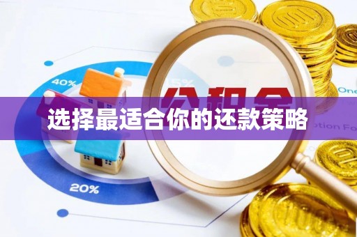 吉水选择最适合你的还款策略