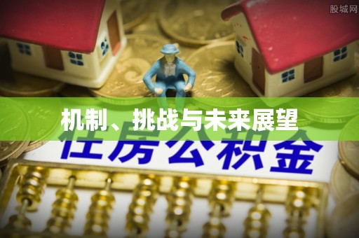 吉水机制、挑战与未来展望